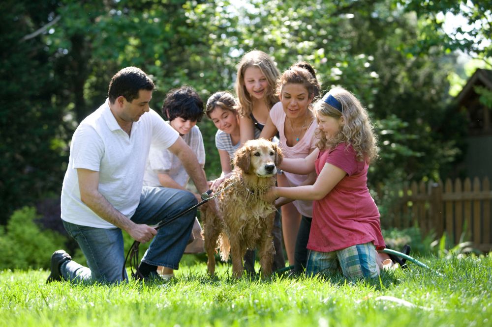 Find den perfekte hund til din familie